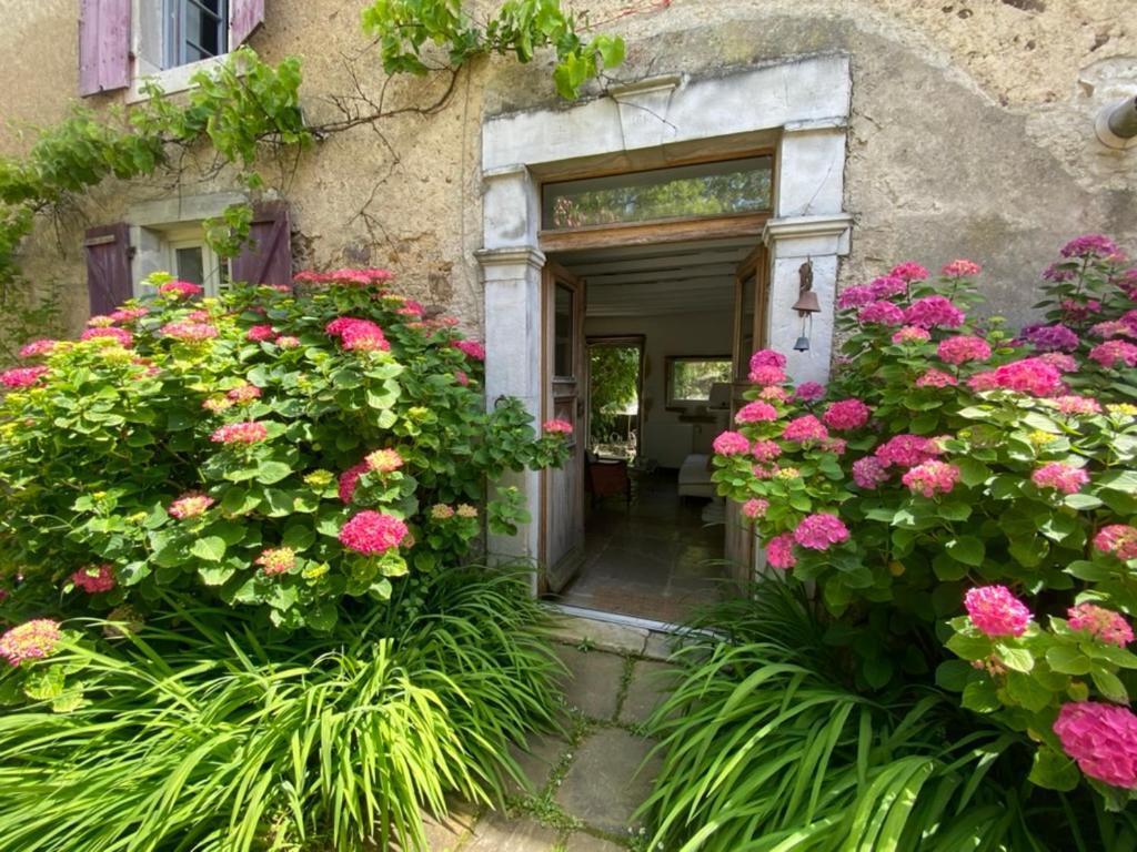Maison D'Hotes-Maison Castaings Lucq-de-Béarn 外观 照片